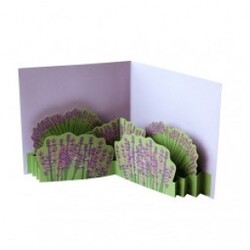 2totango Pop-up Card Lavender Field - Kort