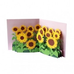 2totango Pop-up Card Sunflower Field - Kort