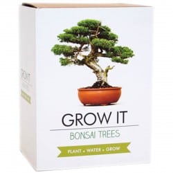 Gift Republic Grow It Kit Bonsai Trees Træ