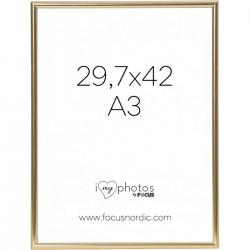 Focus Can-Can Shiny Gold 29,7x42 - Ramme